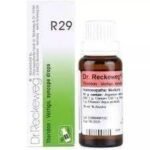 Dr Reckeweg R29 (Theridon) (22ml) - Fast UK Delivery