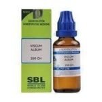 SBL Viscum Album 200 CH 30 ML | Pack of 2 - Fast UK Delivery