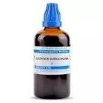 SBL Syzygium Jambolanum Q 100ml - Fast UK Delivery