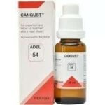 ADEL 54 Heart care Drops 20ML PACK OF 1 Bottle - Fast UK Delivery