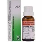 Dr Reckeweg R13 (Prohaemorrin) (22ml) - Fast UK Delivery