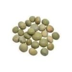 Divesh Store Karanja 400 Grm - Karanjwa Seed - Lata Karanja - Sagarhota - Kalavzikai - Caesalpinia Christa - Bondvc - Fever Nut - Karanjwa Beej