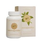 Baidyanath Jhansi Ayurvedant Ashwagandha 60 tablets for Control Stress, Improves Vitality and Muscle Strength - Fast UK Delivery