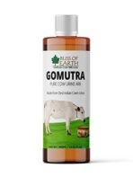 Bliss of Earth Gomutra Desi Cow Urine Original, Gomutra ARK Distilled For Drinking, Plants & Pooja 400ml - Fast UK Delivery - Image 2