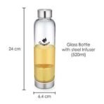 Octavius | Borosilicate Glass Bottle | Green Tea Bottle with Infuser - 520 Ml | Glass Infuser Water Bottle | Fruit Infuser Water Bottle | Tea Filter Strainer (520 ML) - Fast UK Delivery - Image 4