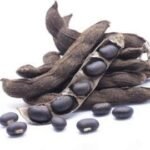 Divesh Store Black Kaunch - 400 Grm - Black Mucuna Pruriens - Black Kapikachhu - Cowitch seed - Kaunch Beej Kala - Black Seed - Cowhage - krinch beej - Kanch seed - Fast UK Delivery