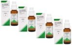 ADEL - 6 Thyroid Management Drops(Pack of 4) - Fast UK Delivery - Image 2