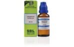 SBL Argentum Nitricum Dilution 30 CH-30ML | PACK OF 2 - Fast UK Delivery