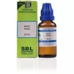 SBL Conium Maculatum Dilution 30 CH- 30ML - Fast UK Delivery