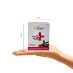 Kerala Ayurveda Liposem Plus Tablet - 100 Count - Fast UK Delivery - Image 7