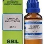 SBL Echinacea Angustifolia 30 CH 30ML | pack of 2 - Fast UK Delivery