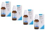 ADEL - 56 Immune System Drops(Pack of 4) - Fast UK Delivery - Image 2