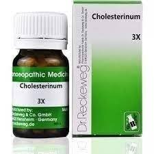 uk31utMqP1EmL-1.jpg Dr Reckeweg Cholesterinum 3X (20g) - Fast UK Delivery - Image 1