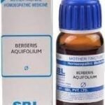 SBL Berberis Aquifolium Q | pack of 2 | 30ml