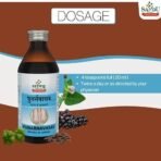 Sandu Pharmaceuticals Ltd Punarnavasav | Ayurvedic Tonic for Liver, Kidney & Urinary Disorders (200 ml) - Fast UK Delivery - Image 6