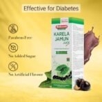 Baidyanath Chyawanfit 1 kg + Karela Jamun Juice 1 Ltr ? Diabetic Wellness Kit - Image 7
