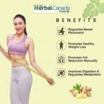 Herbal Canada Fat Reducer | Pack of 2 | helpful in Weight Management and loss of appetite | 100% Ayurvedic (1 LTR) - Fast UK Delivery - Image 7