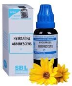 SBL Hydrangea Arborescens Mother Tincture Q 30ml - Set of 1 Bottle - Fast UK Delivery - Image 2