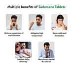 Kerala Ayurveda Sudarsana Tablet 100 Nos x pack of 2 - Fast UK Delivery - Image 4