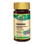 Zandu Punarnava Capsules, With Goodness of Natural Punarnava Extract known for Good Gut Health & for Healthy Appetite, Helps for Heart and Urinary Health - 60 Veg capsules - Fast UK Delivery - Image 2