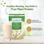 Neuherbs True Plant Protein Powder With Omega 3 |100% Plant Protein| Kulfi Flavour| 24g Protein (Rice & Pea Protein Isolate)| Digestive Enzymes & Probiotics|For Muscle Recovery - 500G - Fast UK Delivery - Image 6