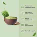 Neuherbs Organic Wheatgrass Powder | Ayurvedic Support For Natural Detox | Immunity Booster | Herbal Supplement | NON-GMO, Vegan, Antioxidant, Superfood | Certified Organic - 100g - Image 6