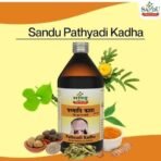 SANDU Pathyadi Kadha (450 Ml) - Fast UK Delivery - Image 3