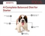 Drools Focus Starter, Super Premium Dry Dog Food, 1.2Kg (Chicken Flavour), 1 Count - Fast UK Delivery - Image 4