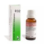 DR RECKEWEG R 32 HYPERHIDROSIS 22 ML RECKEWEG - Fast UK Delivery