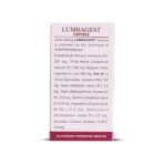 Kerala Ayurveda Lumbagest Capsule- 100 Count - Fast UK Delivery - Image 4