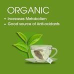 Teabox Organic Darjeeling Green Tea 25 Teabags |100% Whole Leaf Tea Sourced from Darjeeling | Rich in Antioxidants | Healthy and Refreshing | Silken Pyramid Teabags - Fast UK Delivery - Image 5