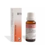DR RECKEWEG R 11 RHEUMA 22 ML RECKEWEG - Fast UK Delivery