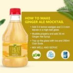 Dhampure Speciality Assorted Mocktail Syrups - Fruit Beer, Ginger Ale, Blue Curacao, Himalayan Apple Flavoured Syrups - 1.2Ltr (4 X 300Ml) | Makes 12-15 Drinks Per Bottle - Fast UK Delivery - Image 7