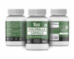 Holy Natural Chlorella Capsule 450 mg/cap (120 Veggie Caps) | Help Boost Immunity | Pure & Natural - Image 3