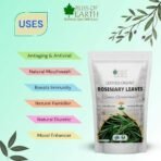 Bliss of Earth Dried Rosemary Leaves Certified Organic Rosmarinus Officinalis Great for Tea, Cooking, Hair & Memory 100GM - Fast UK Delivery - Image 3