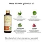 Kerala Ayurveda Murivenna Oil for Burns, Cuts and Cramps - 200 ml | Ayurvedic Oil for Joint Pain and Swelling | First Aid Box Oil for Pain Relief & Wound Healing | Infused with Aloevera & Moringa - Fast UK Delivery - Image 7
