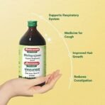 Baidyanath Asli Ayurved Bhringrajasava Liquid Syrup - 450 Ml (Pack Of 2) - Image 2