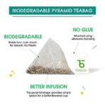 Teabox Detox Kahwa Herbal Tea 100 Teabags | Made with 8 Natural Ingredients | Helps Cleanse | Immunity Booster | Cold Relief | 100% Bio Degradable Teabags. - Fast UK Delivery - Image 6