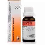 DR RECKEWEG R 73 JOINTS 22 ML RECKEWEG - Fast UK Delivery