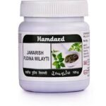Hamdard Jawarish Pudina Wilayti Pack Of 2 - Fast UK Delivery