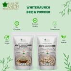 Bliss of Earth Kaunch Beej, Mucuna Pruriens, Cowhage, Velvet Bean, Cowitch, Safed Koch ke Beej Good for Health & Wellness 100gm - Fast UK Delivery - Image 3