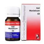 Dr Reckeweg Kali muriaticum 6x 20 gm Pack of 2 - Fast UK Delivery - Image 2
