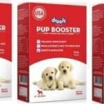 Drools Pup Booster - Puppy Weaning Diet for All Breeds 300 Gram Pack of 3 Chicken 1 kg (3x0.33 kg) Dry New Born Dog Food - Fast UK Delivery