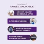 Baidyanath Asli Ayurved Asli Ayurved Karela Jamun Juice Paraben Free With No Added Sugar - 1litre, Pack of 1 - Fast UK Delivery - Image 4
