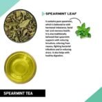 TEACURRY Spearmint Tea Bag - Helps With Hormonal Imbalance, Facial Hair, And Pcos | Spearmint Leaves (30 Tea Bags - 1 Month Pack), 60 Grams - Fast Shipping to USA & Canada - Image 3