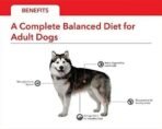 Drools Chicken and Vegetable Adult Dog Food, 400g - Fast UK Delivery - Image 4