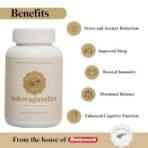 Baidyanath Jhansi Ayurvedant Ashwagandha 60 tablets for Control Stress, Improves Vitality and Muscle Strength - Fast UK Delivery - Image 4