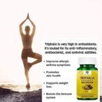 Heera Ayurvedic Research Foundation True Essence Provisions Triphala Extract 60 Veg Capsule (1000 mg) - Fast Shipping to USA - Image 3
