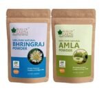 Bliss of Earth 100gm Bhringraj Powder Orgnaic Herbal Edible & 100% Pure Natural AMLA Powder 100GM Indian Gooseberry Great For Hair Conditioning - Fast UK Delivery - Image 2