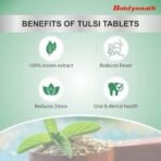 Baidyanath Tulsi Tablets - 120 Tab|Helps in Boosts Immunity | Helpful in Cough & Cold (Pack of 2) - Fast UK Delivery - Image 4